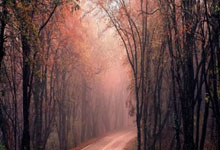 霍芬海姆客场告捷，积分榜排名上升